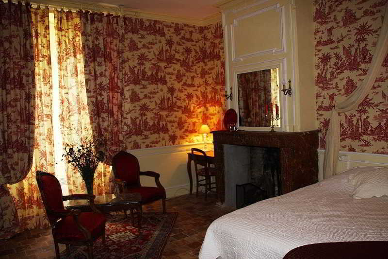 Chateau Des Reaux Chouzé-sur-Loire المظهر الخارجي الصورة